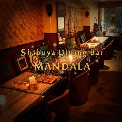 ネパール料理＆BAR MANDALA マンダラ 渋谷店