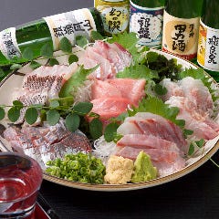 全国の地酒×朝獲鮮魚 しょう栄 門前仲町