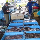 茨城県日立港直送の鮮魚！！【茨城県日立市】