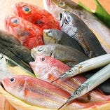 熟練料理人の魚の目利きで、毎日入荷する新鮮な旬魚！【埼玉県】