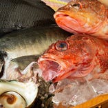 中州で旨い魚を食べるなら海亭！毎日仕入れる活きイカや旬の地魚
