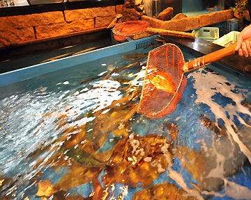 とり八 本店 広島市 魚料理 ぐるなび