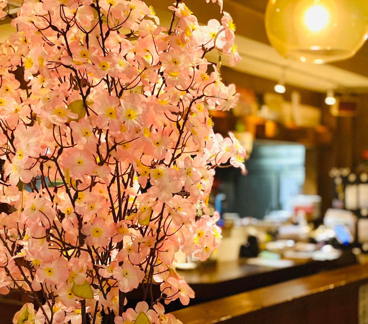桜満開大人の合コン 飲放題付き2 5時間 春食材の 春満開コース 8品4 500円 合コン デート 送別会 の詳細 イタリアン スパニッシュ Satomi 秋葉原2号店 秋葉原 居酒屋 ぐるなび