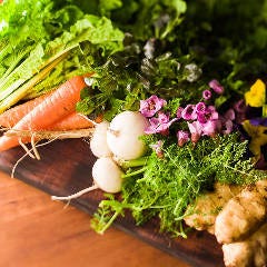 シェフ・東出身の岡山から届く瑞々しい野菜たち
