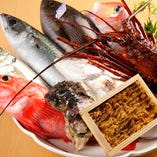 宮城直送の魚介や新鮮な上賀茂のお野菜を使用しています。