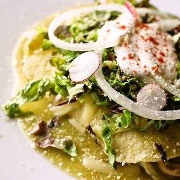 メキシコ料理 覇王樹 Saboten 心斎橋 メキシコ料理 ぐるなび メキシコ料理 覇王樹 Saboten 心斎橋 メキシコ料理 ぐるなび