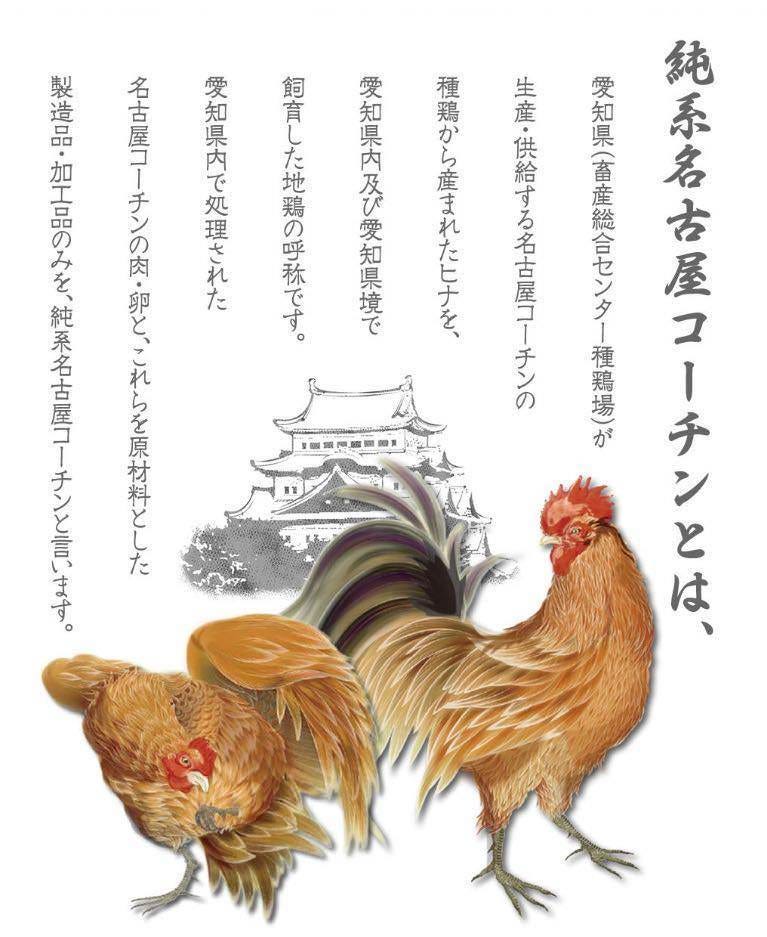 「鶏肉の王様」純系名古屋コーチン