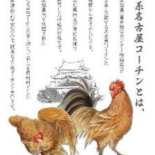 「鶏肉の王様」純系名古屋コーチン