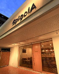 SpigolA