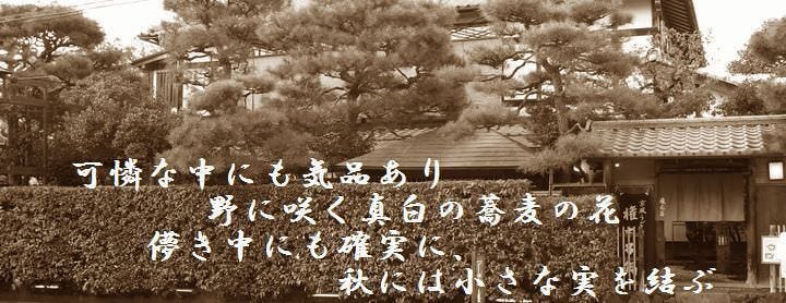 権太呂 岡崎店