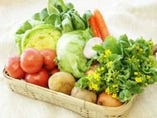 新鮮野菜は野菜市場からどうぞ！
春の旬野菜が勢ぞろい！！