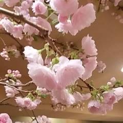 寿し 関口