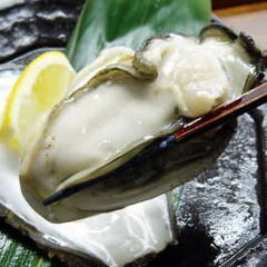 三陸オイスターと宮城の地酒 かきや no KAKIYA