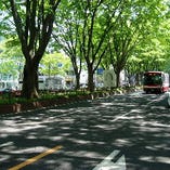新緑の時期は、目の前の定禅寺通りがまるで避暑地に！？っていうくらい心地良いです！