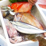 海鮮丼の魚貝は仙台市場直送です！だから新鮮☆