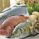 【魚が美味しい】
魚一筋の職人が市場で厳選。鮮度が抜群です