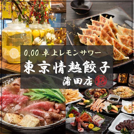 レモンサワー 餃子専門店 東京情熱餃子 蒲田駅前店 蒲田 居酒屋 ぐるなび