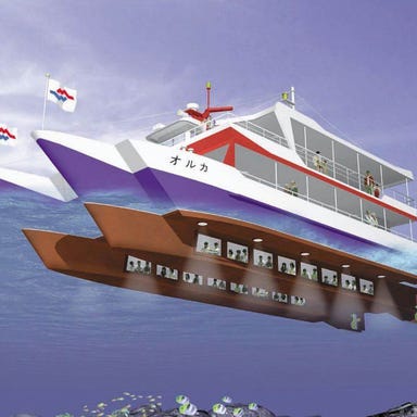 水中観光船 オルカ号  外観の画像