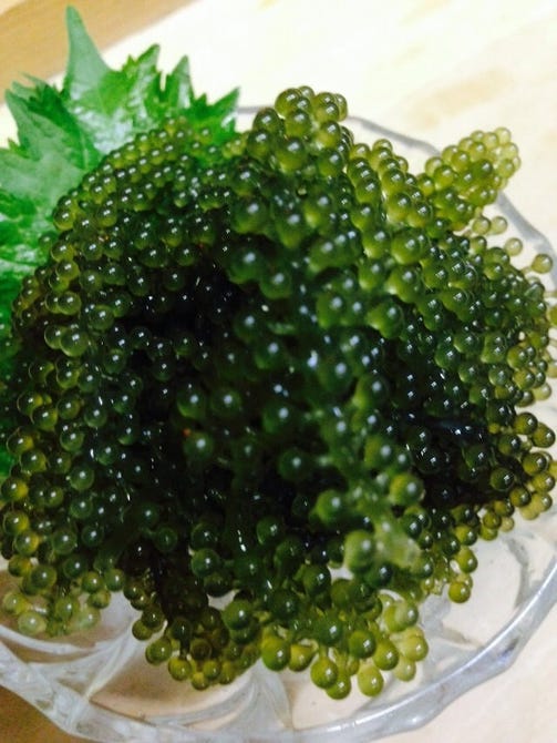 ぴろ吉ダイニング 船橋 西船橋 居酒屋 ぐるなび