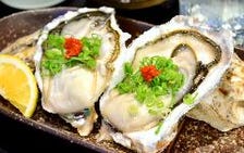 北海道 厚岸産 牡蠣