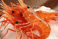 和食と鉄板焼 まある 札幌すすきの 鉄板焼き ぐるなび