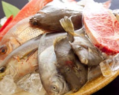 淡路の天然鮮魚や愛媛和牛など 厳選食材を使った料理の数々!
