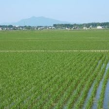 契約農家がつくる米、野菜、酒