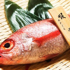 漁港直送《のどぐろ》は毎日入荷 是非この機会にご賞味下さい
