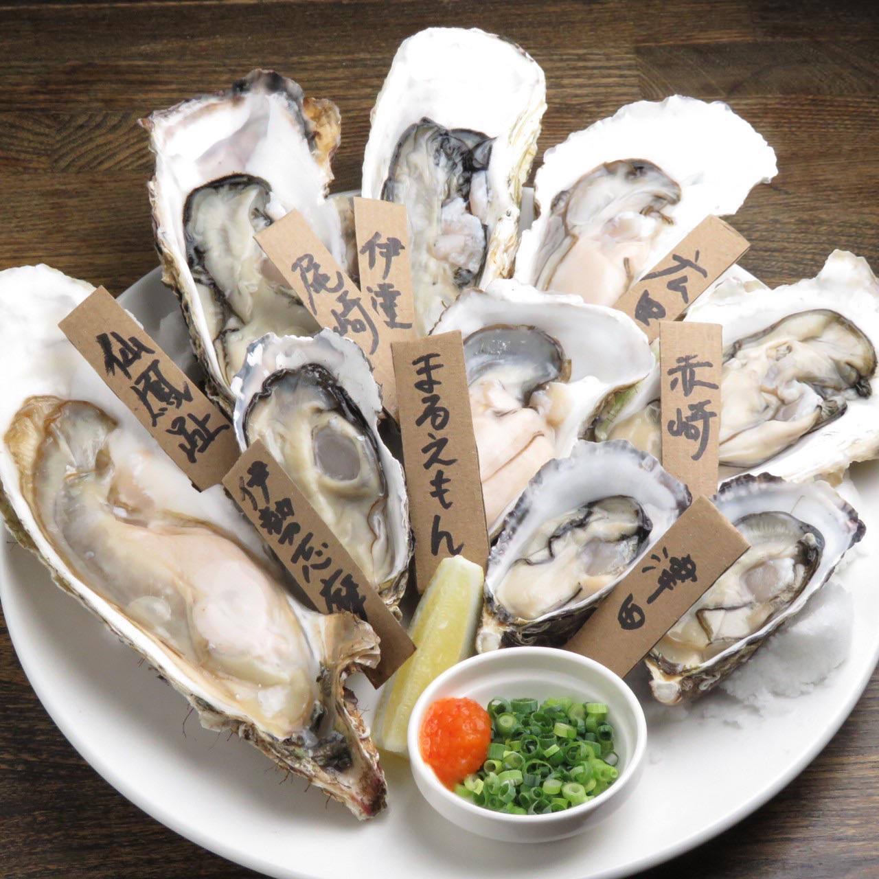 牡蠣たん 牡蠣グラタン9個セット | 牡蠣本舗 山下屋
