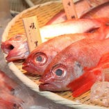 日本を代表する高級魚「のど黒(赤ムツ)」【島根県】