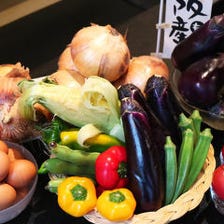 契約農家から届く新鮮な大阪の「お野菜さん」