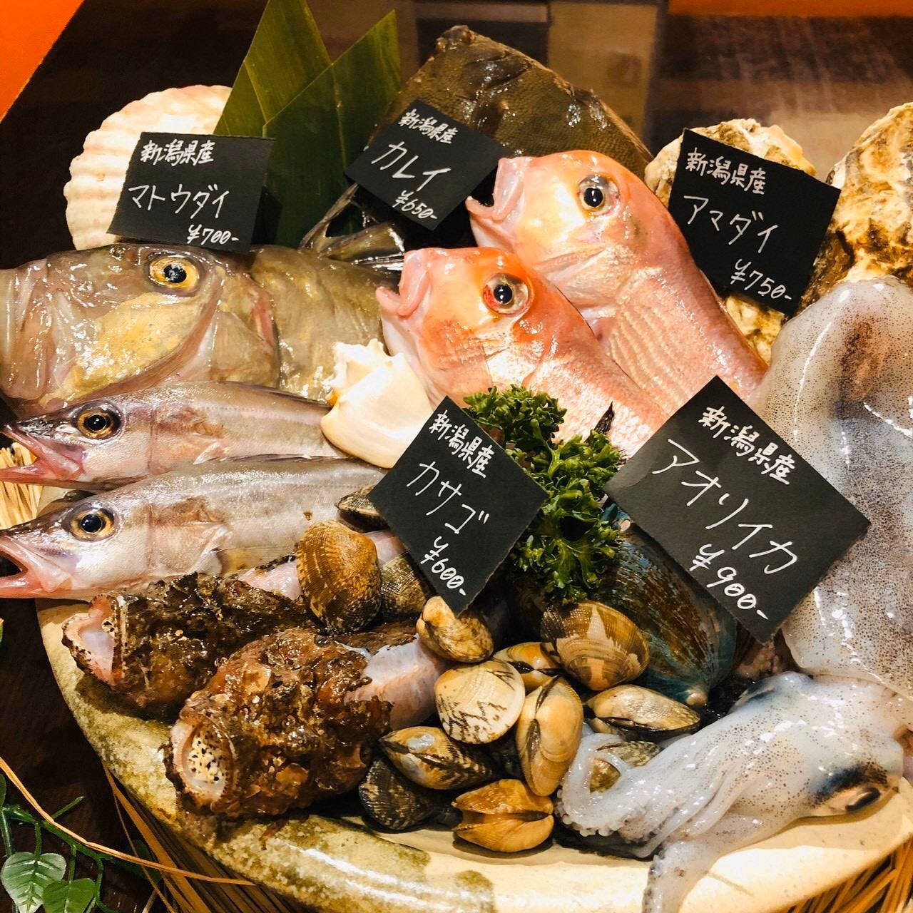 6 000円2 5h飲み放題付き 究極血抜き津本式の魚と旨味たっぷりアクアパッツァの贅沢コースの詳細 Kitchen Ryoma 新潟市中央区 居酒屋 ぐるなび