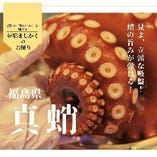 福島県「真蛸」