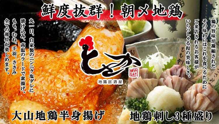 とさか 新宿本店 新宿 鳥料理 鶏料理 ぐるなび