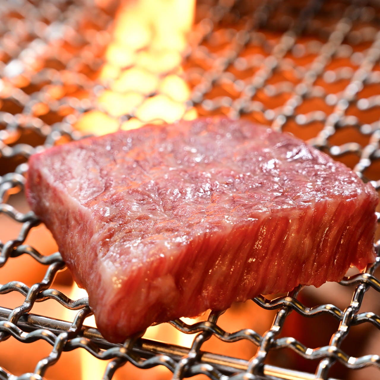 お肉や魚介を備長炭で香ばしく焼き上げる炭火焼料理は必食！