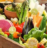 かぼちゃ【国内】