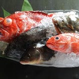 魚：旬の鮮魚