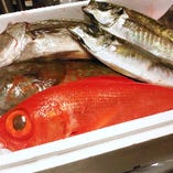 千葉県をはじめ、全国から旬の鮮魚が届きます。

地元：浦安の漁師さんより
貝、蛤等も届きます！