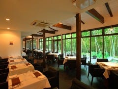 エルルカン ビス