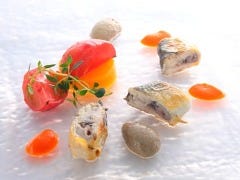 エルルカン ビス