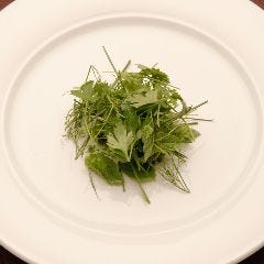 ヴィア ブリアンツァ