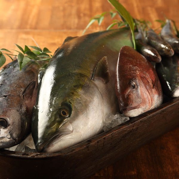 地魚&地野菜 新鮮な季節の味をご提供