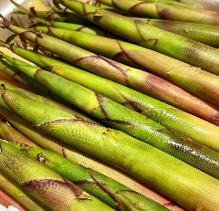 和食とおばんざい キッチンひかる 