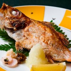 寿し 地もの酒菜 高崎屋 メニュー 金沢の旬の味覚 ぐるなび 寿し 地もの酒菜 高崎屋 メニュー 金沢の旬の味覚 ぐるなび