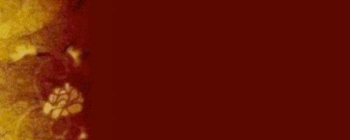 ベトナムの食卓 HOAHOA 日吉本店