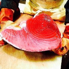 個室完備 まぐろ居酒屋 さかなや道場 名古屋駅太閤通口店_南鮪・インドマグロ