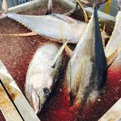 個室完備 まぐろ居酒屋 さかなや道場 名古屋駅太閤通口店_天然生キハダマグロ