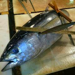 個室完備 まぐろ居酒屋 さかなや道場 名古屋駅太閤通口店_豪快！鮪一本買い