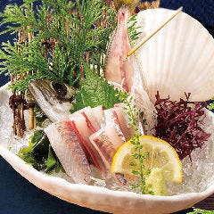 個室完備 まぐろ居酒屋 さかなや道場 名古屋駅太閤通口店_活あじ姿造り