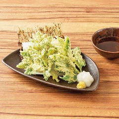 個室完備 まぐろ居酒屋 さかなや道場 名古屋駅太閤通口店_明日葉の天ぷら